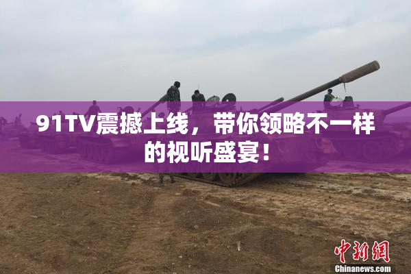 91TV震撼上线，带你领略不一样的视听盛宴！