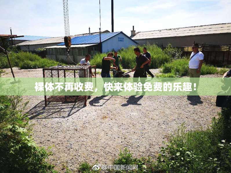裸体不再收费，快来体验免费的乐趣！