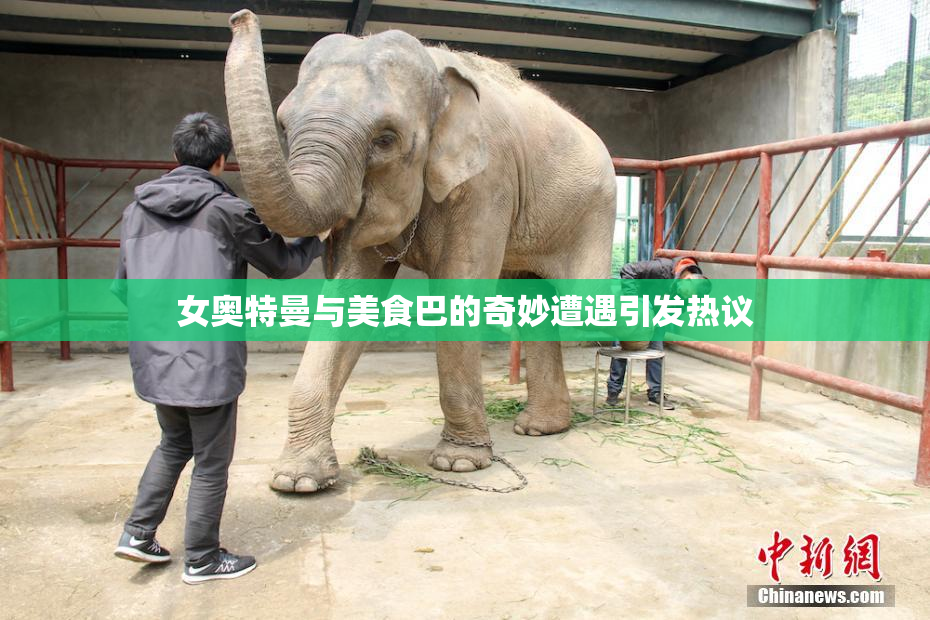 女奥特曼与美食巴的奇妙遭遇引发热议
