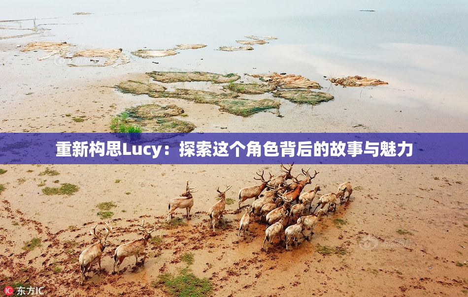重新构思Lucy：探索这个角色背后的故事与魅力