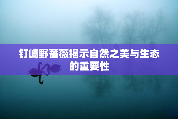 钉崎野蔷薇揭示自然之美与生态的重要性