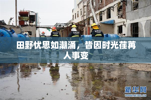 田野忧思如潮涌，皆因时光荏苒人事变