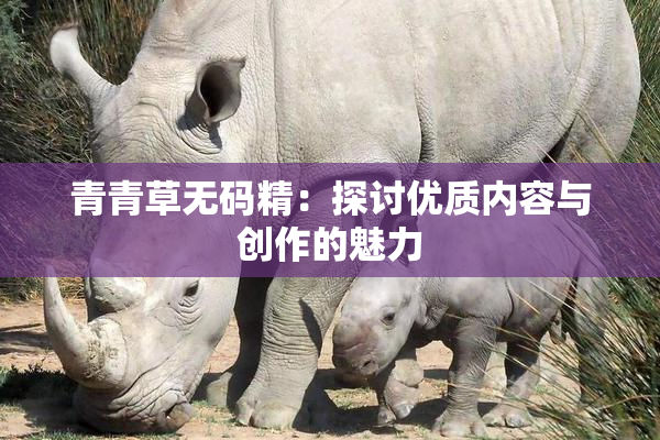 青青草无码精：探讨优质内容与创作的魅力