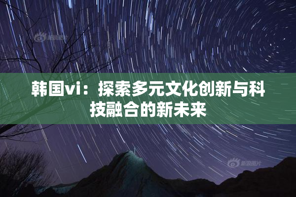 韩国vi：探索多元文化创新与科技融合的新未来