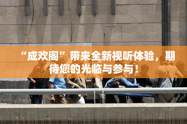 “成欢阁”带来全新视听体验，期待您的光临与参与！