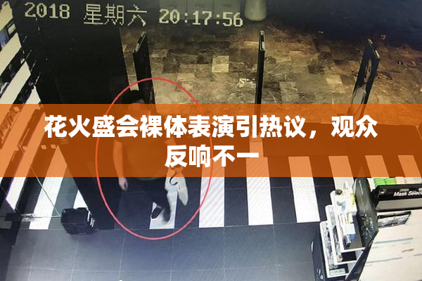 花火盛会裸体表演引热议，观众反响不一