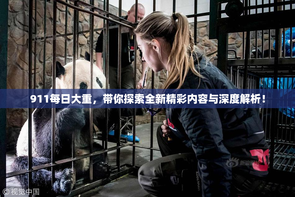 911每日大重，带你探索全新精彩内容与深度解析！