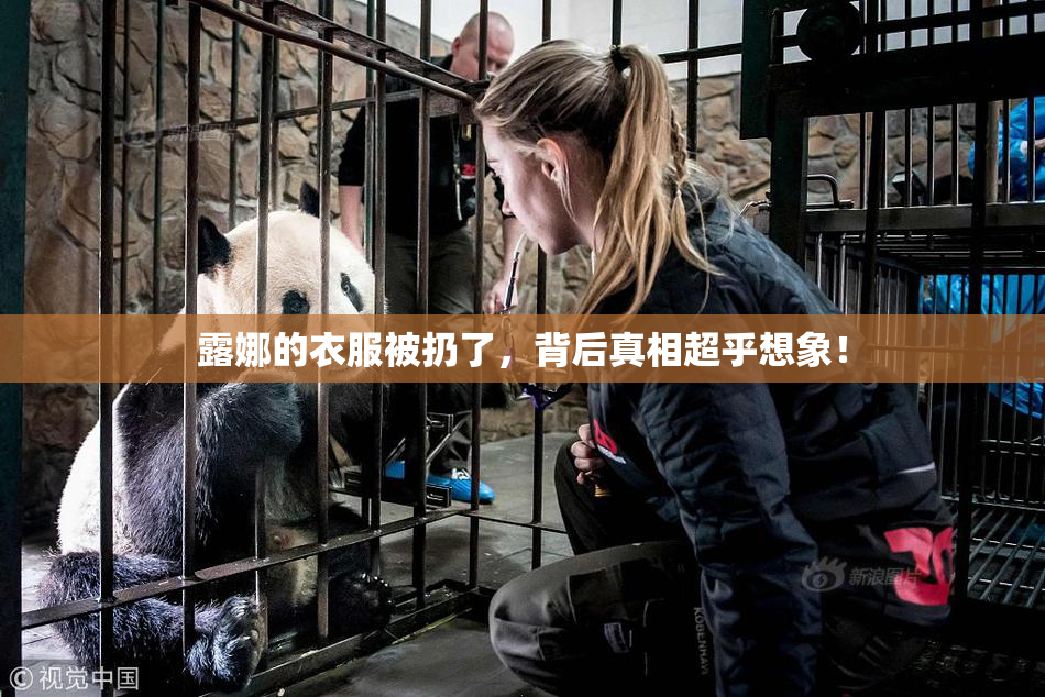 露娜的衣服被扔了，背后真相超乎想象！
