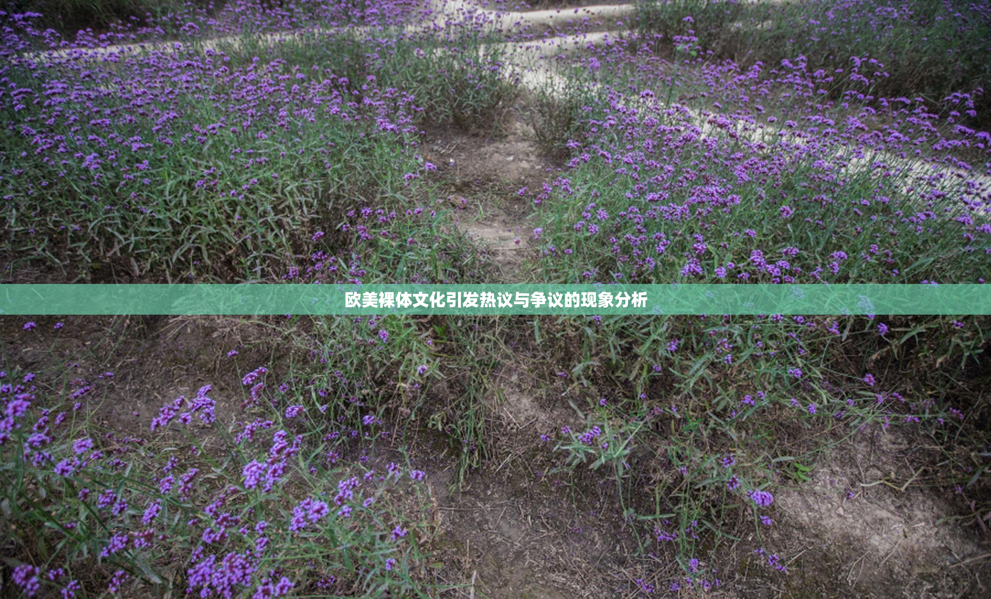 欧美裸体文化引发热议与争议的现象分析