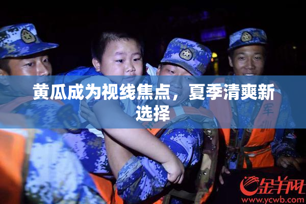 黄瓜成为视线焦点，夏季清爽新选择