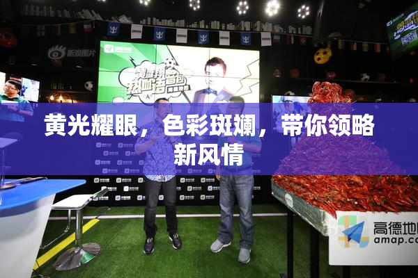 黄光耀眼，色彩斑斓，带你领略新风情
