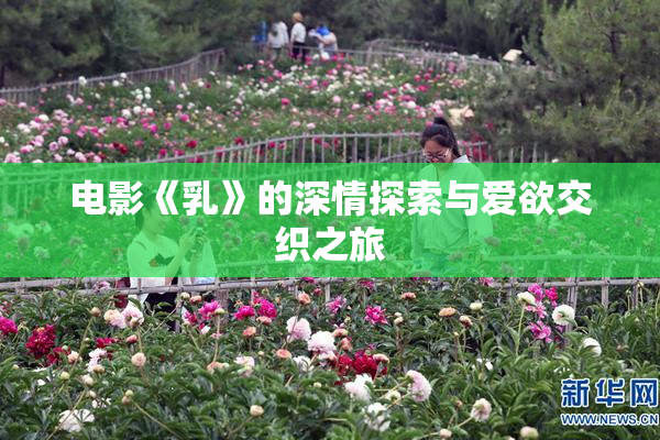 电影《乳》的深情探索与爱欲交织之旅