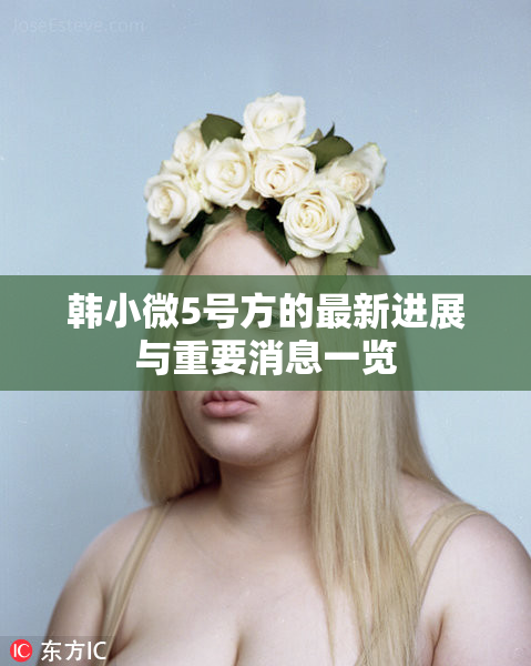 韩小微5号方的最新进展与重要消息一览