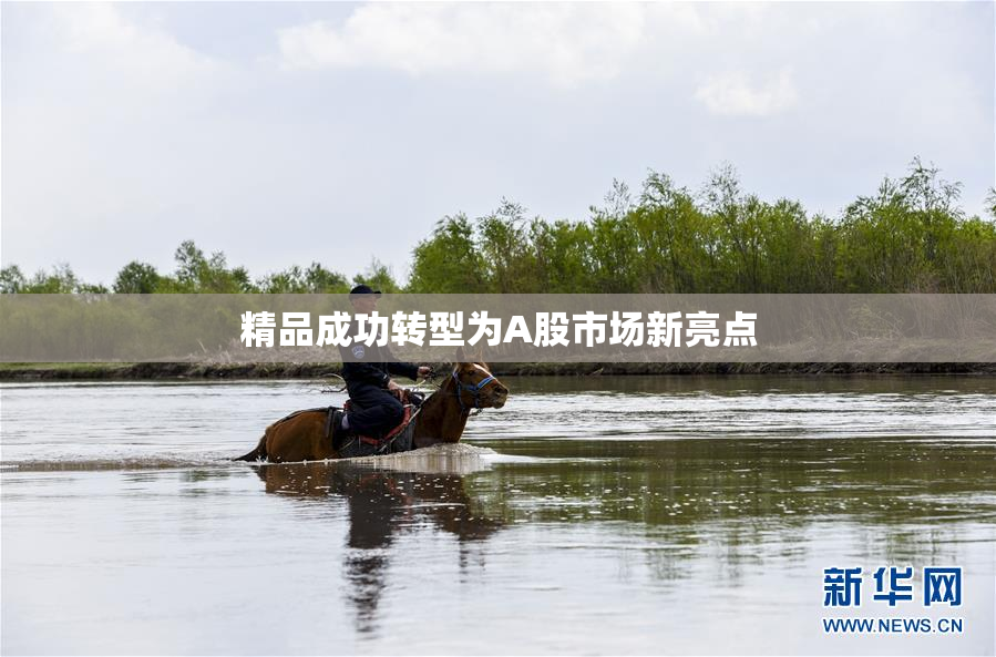 精品成功转型为A股市场新亮点