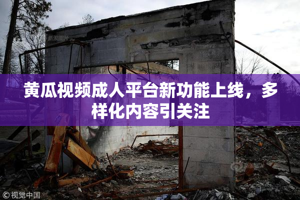 黄瓜视频成人平台新功能上线，多样化内容引关注