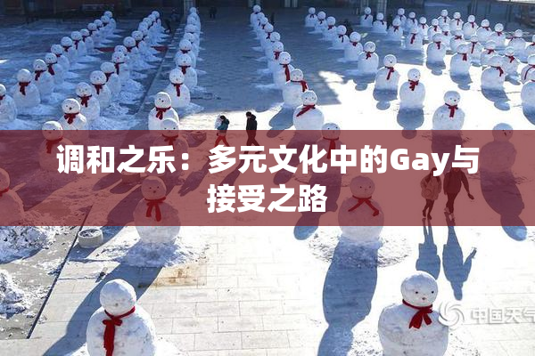 调和之乐：多元文化中的Gay与接受之路