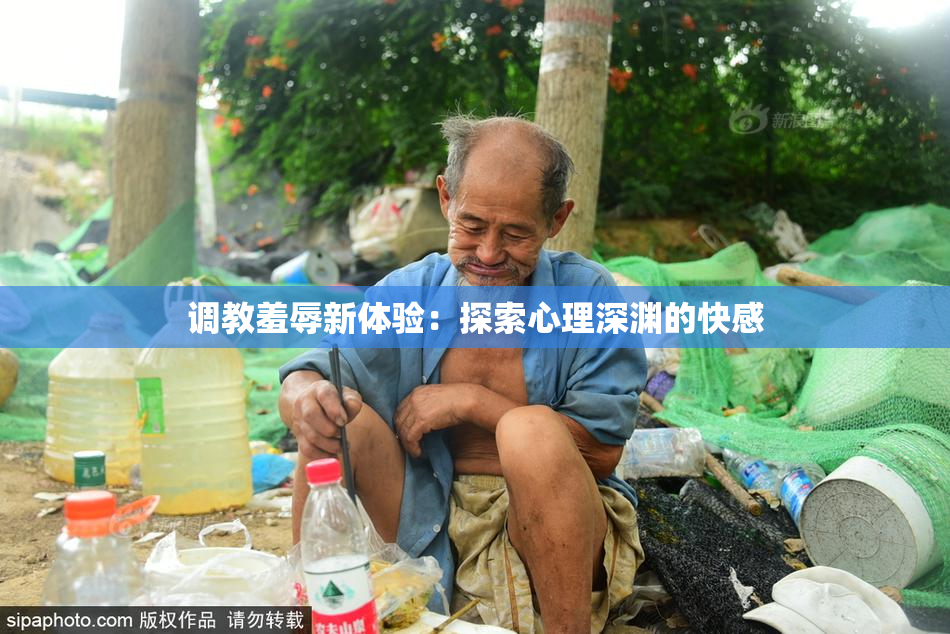 调教羞辱新体验：探索心理深渊的快感