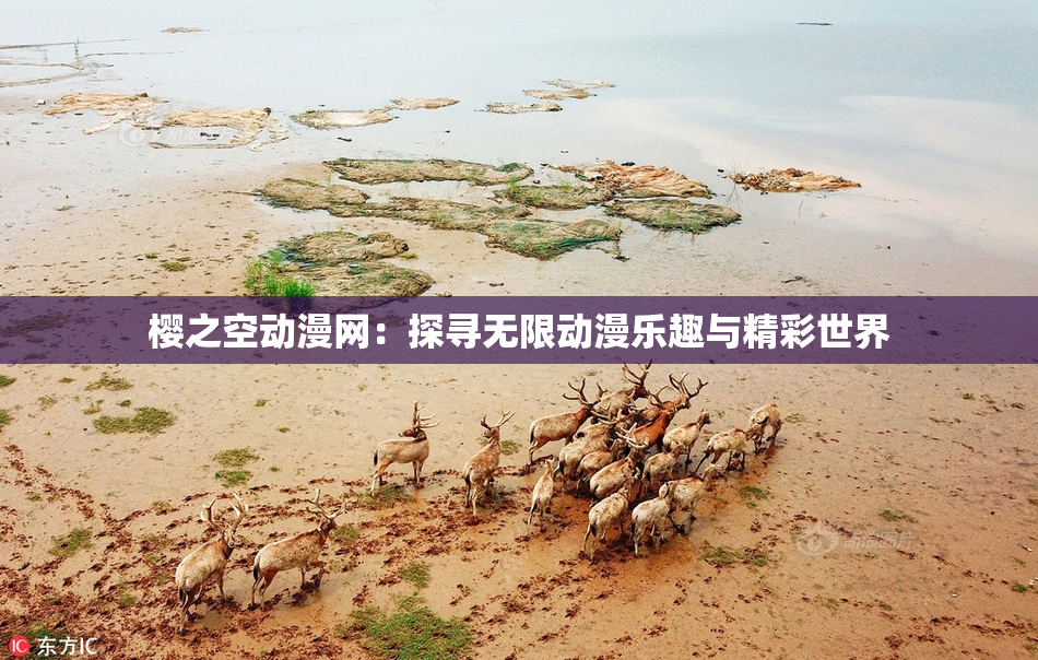 樱之空动漫网：探寻无限动漫乐趣与精彩世界