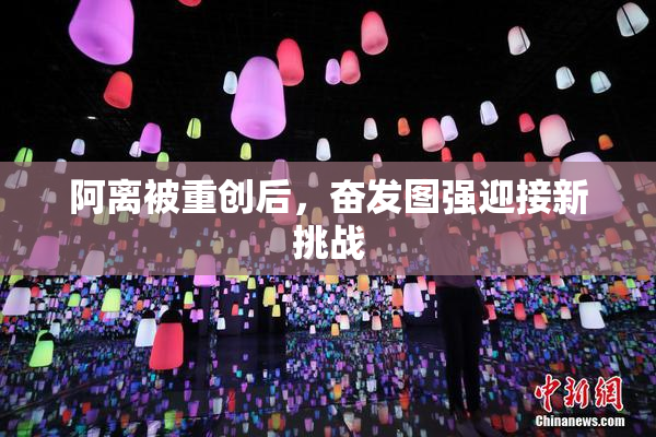 阿离被重创后，奋发图强迎接新挑战