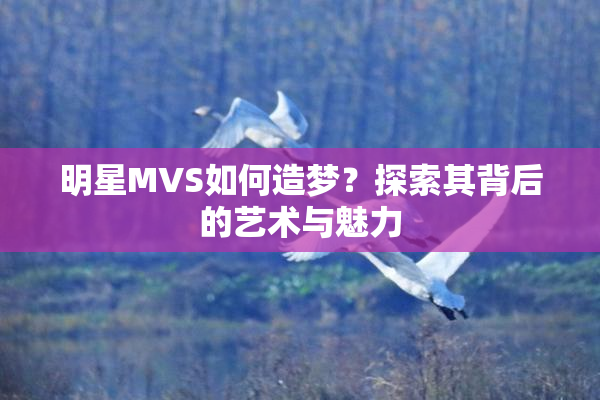 明星MVS如何造梦？探索其背后的艺术与魅力