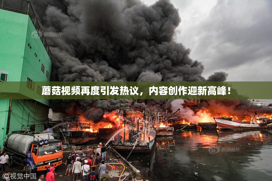 蘑菇视频再度引发热议，内容创作迎新高峰！