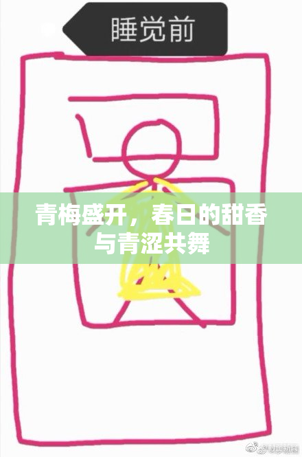 青梅盛开，春日的甜香与青涩共舞