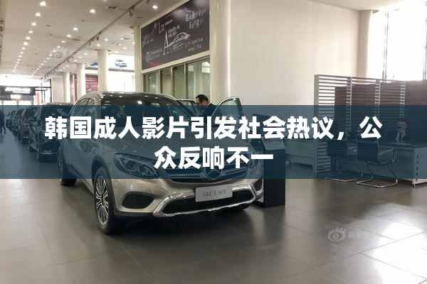 韩国成人影片引发社会热议，公众反响不一