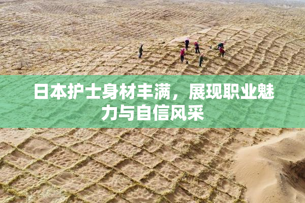 日本护士身材丰满，展现职业魅力与自信风采