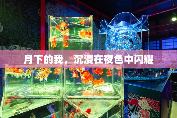 月下的我，沉浸在夜色中闪耀