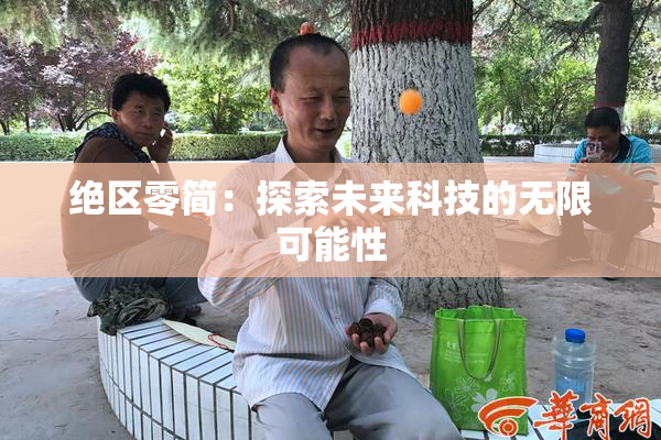 绝区零简：探索未来科技的无限可能性