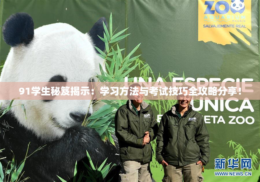 91学生秘笈揭示：学习方法与考试技巧全攻略分享！