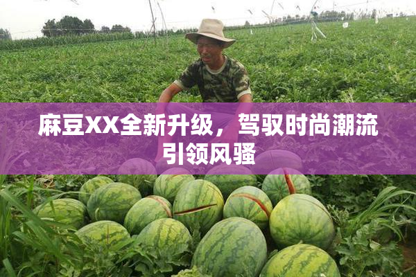 麻豆XX全新升级，驾驭时尚潮流引领风骚