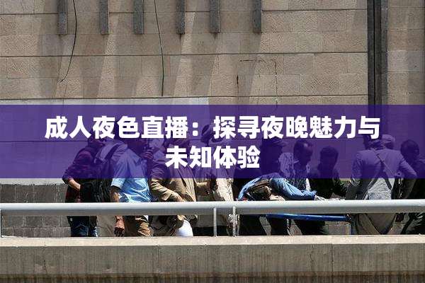 成人夜色直播：探寻夜晚魅力与未知体验