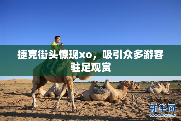 捷克街头惊现xo，吸引众多游客驻足观赏