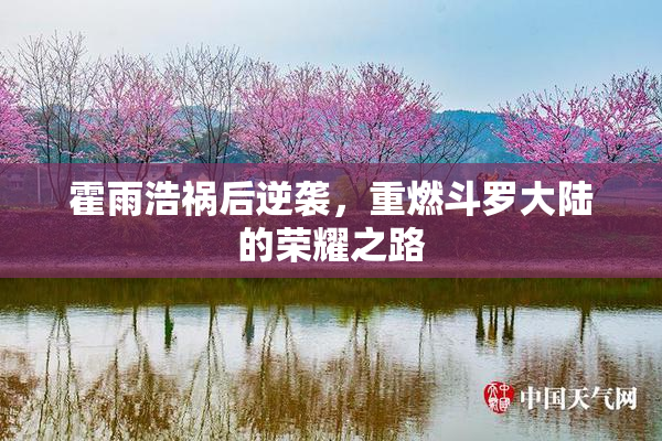 霍雨浩祸后逆袭，重燃斗罗大陆的荣耀之路
