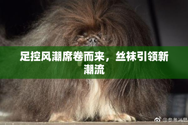 足控风潮席卷而来，丝袜引领新潮流