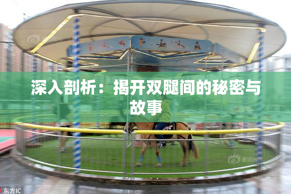 深入剖析：揭开双腿间的秘密与故事