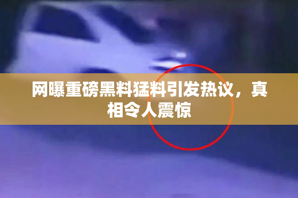网曝重磅黑料猛料引发热议，真相令人震惊