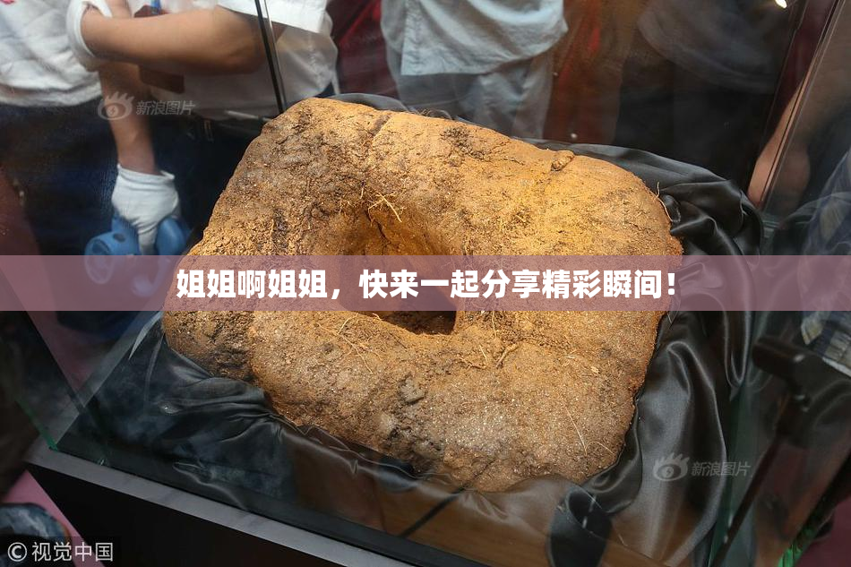 姐姐啊姐姐，快来一起分享精彩瞬间！