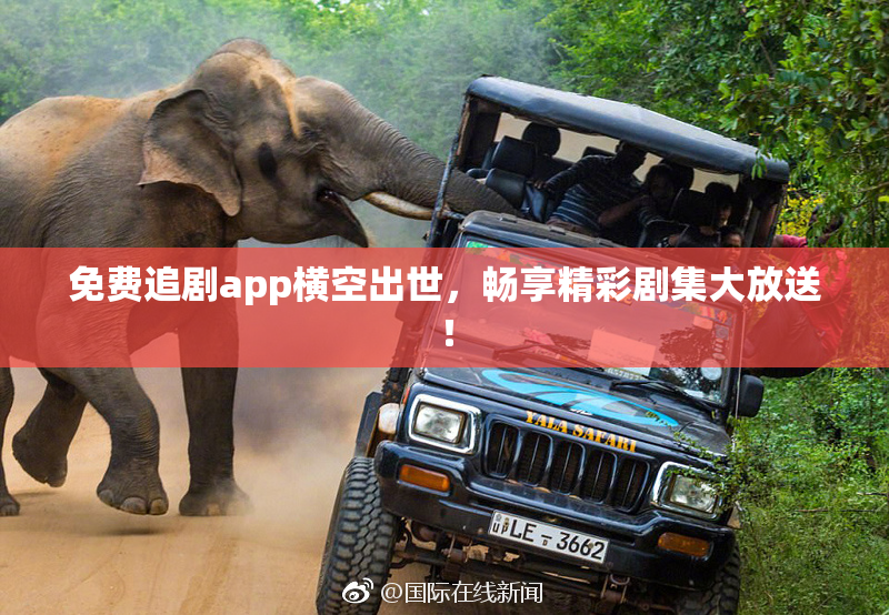免费追剧app横空出世，畅享精彩剧集大放送！