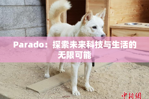 Parado：探索未来科技与生活的无限可能