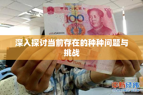 深入探讨当前存在的种种问题与挑战