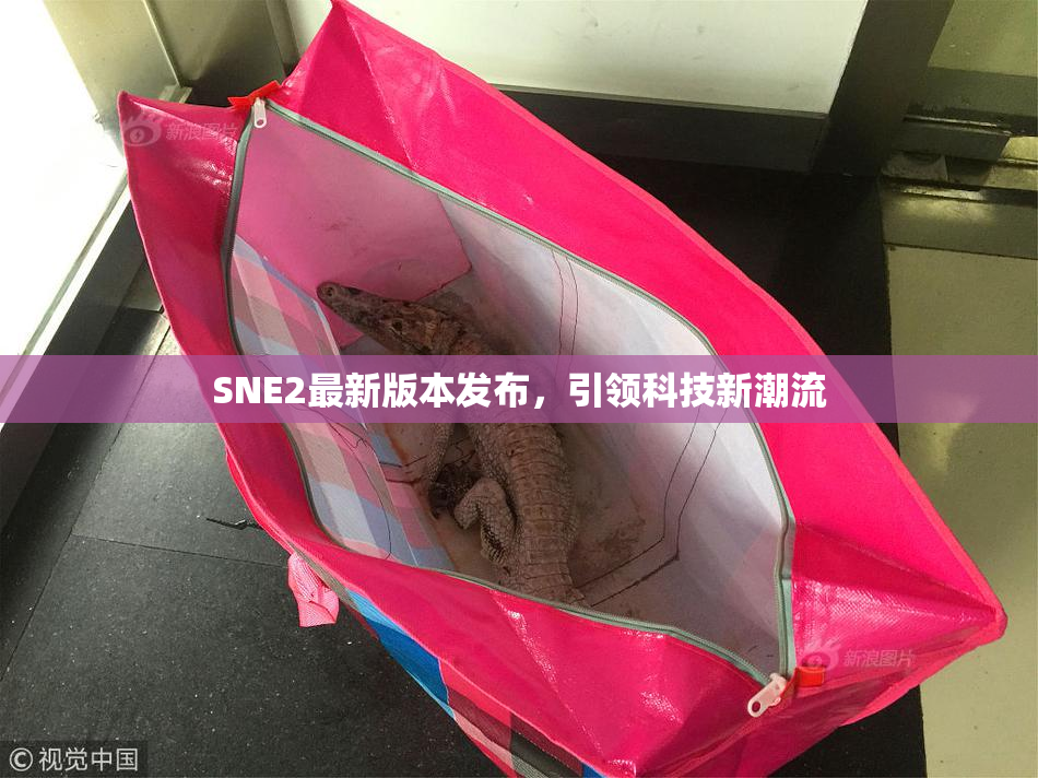 SNE2最新版本发布，引领科技新潮流