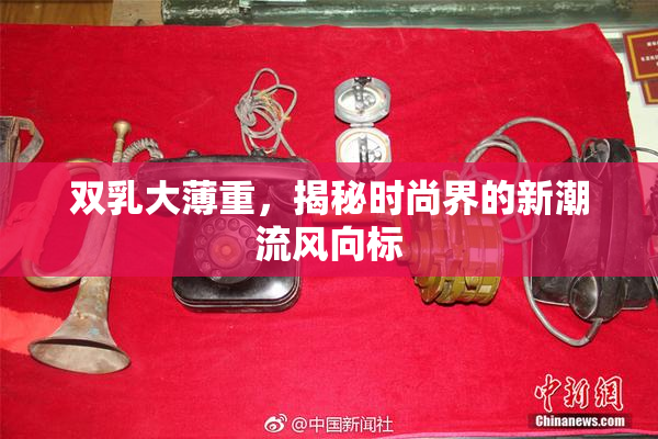 双乳大薄重，揭秘时尚界的新潮流风向标
