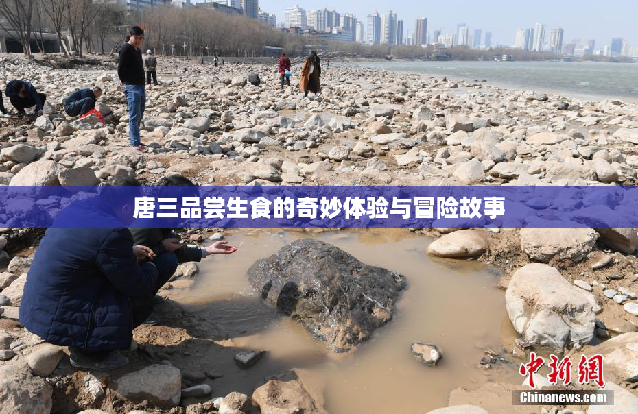 唐三品尝生食的奇妙体验与冒险故事