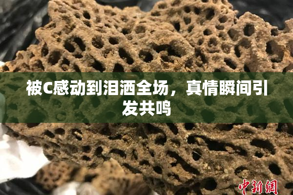 被C感动到泪洒全场，真情瞬间引发共鸣