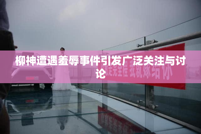 柳神遭遇羞辱事件引发广泛关注与讨论