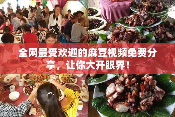 全网最受欢迎的麻豆视频免费分享，让你大开眼界！