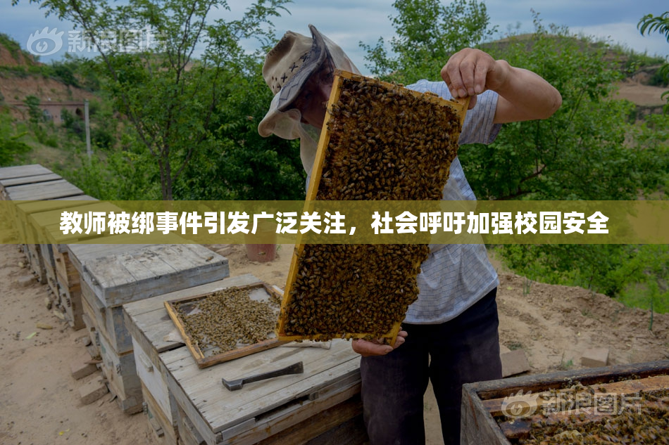 教师被绑事件引发广泛关注，社会呼吁加强校园安全