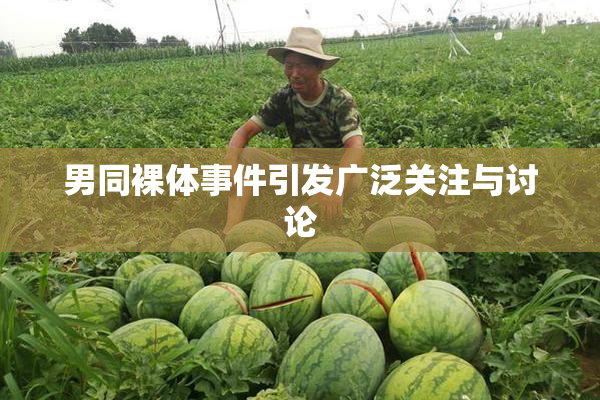 男同裸体事件引发广泛关注与讨论